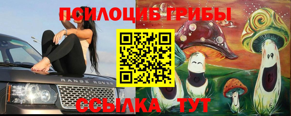 Галлюциногенные грибы Psilocybe Изобильный