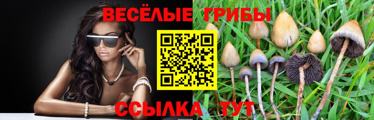 Галлюциногенные грибы Magic Shrooms  Галлюциногенные грибы ЛСД  Изобильный  Вход с VPN 